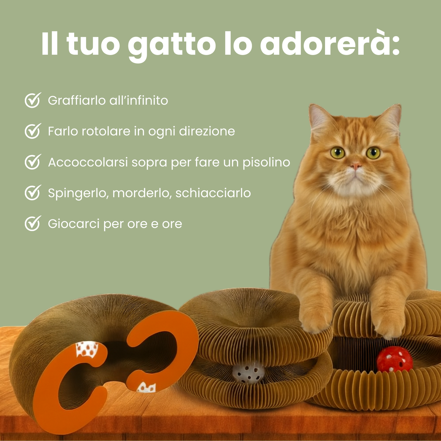 Tiragraffi interattivo per gatti