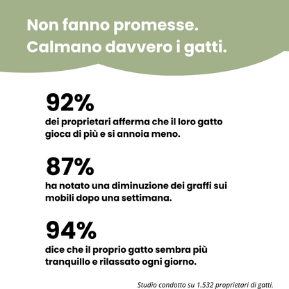 Tiragraffi interattivo per gatti